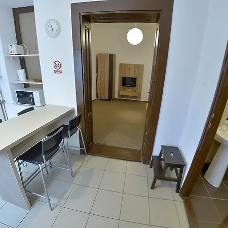 Apartment Gabriel Sibiu Exterior photo